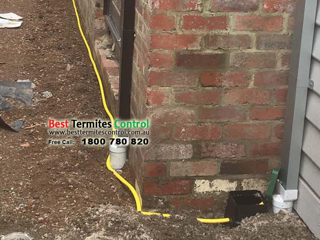 Termite Reticulation System BTC ImageGallery